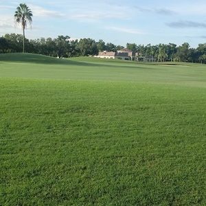 Meet your Posher, Diego